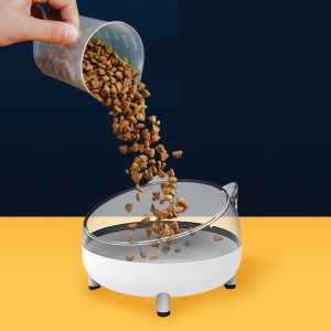Cat Bowl Stainless Steel For Eating And Drinking