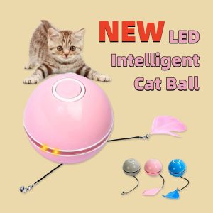 Cat Beds