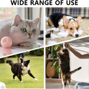 Interactive Rolling Ball Toy for Cats and Dogs, 2-Pack