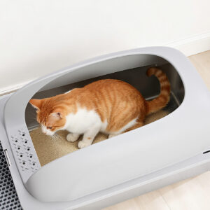 Large Stainless Steel Cat Litter Box with Lid, Scoop and Mat